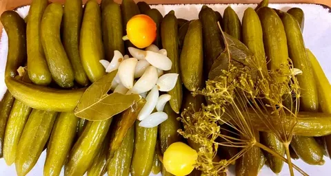 تصویر 3 از بهترین خیار شور شوید + قیمت خرید عالی